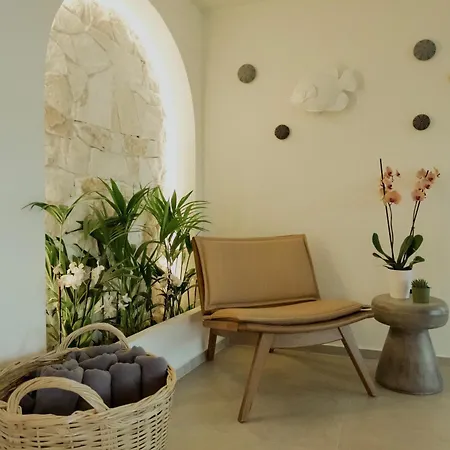 Opal Paros Hotel Náoussa