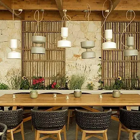 Opal Paros