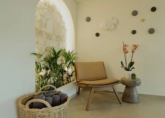 Opal Paros Hotel Naoussa